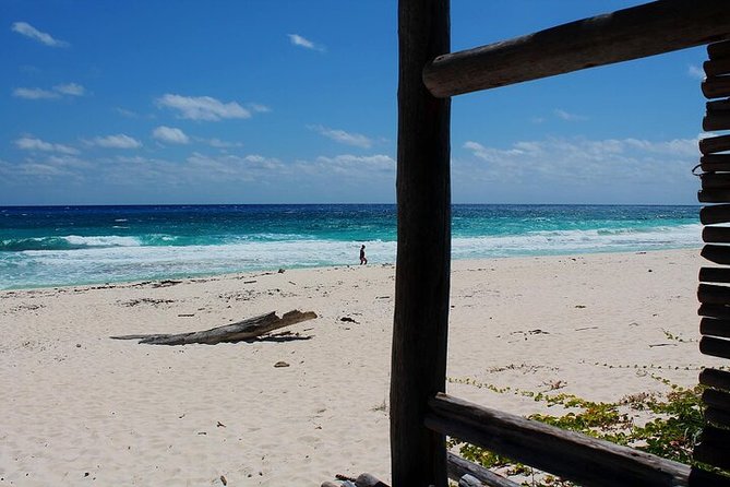 Private Jeep Tour in Cozumel - The Flexibility of Customizable Stops