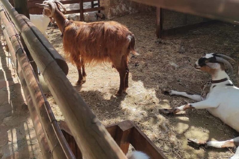 Private Jeep Tour to Agios Nikolaos & Plaka Beach - Elounda and Its Breathtaking Bay Views