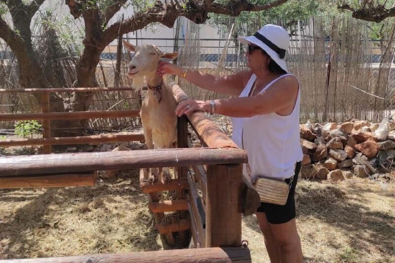 Private Jeep Tour to Agios Nikolaos & Plaka Beach - Authentic Crete: Local Shopping and Coastal Relaxation