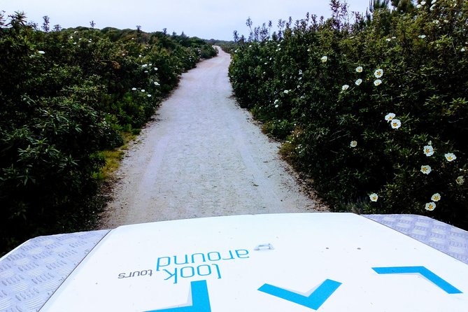 Private Jeep Tour to Espichel Cape & West Coast Wild Beaches - Admiring the Wild Beauty of Praia de Foz