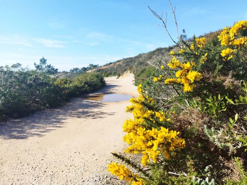 Private Jeep tour to Espichel Mysteries and Wild Beaches - Explore Portugal’s Untamed Coast with a Private Jeep Tour