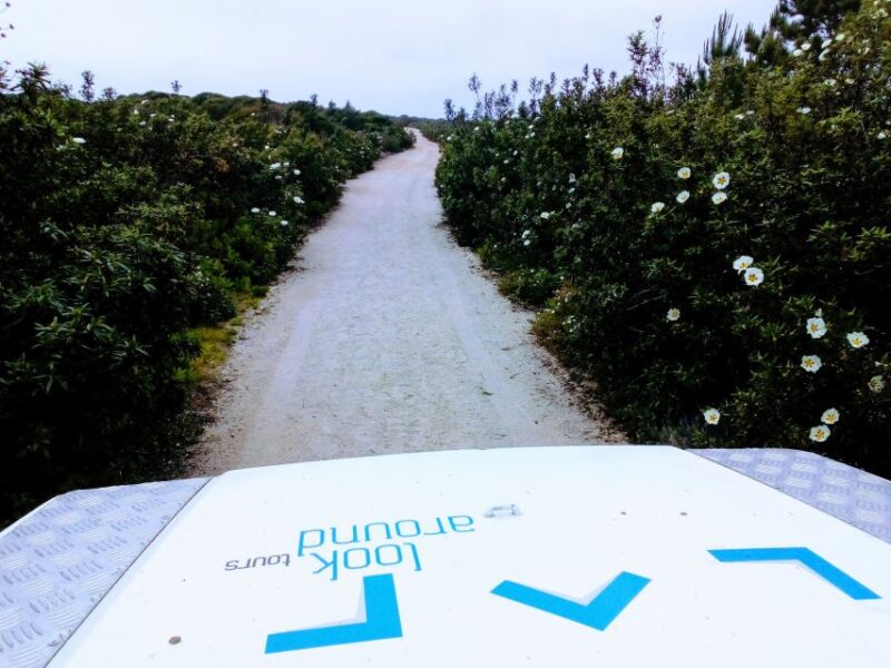 Private Jeep tour to Espichel Mysteries and Wild Beaches - End of the Day: Drop-Off at Your Chosen Location