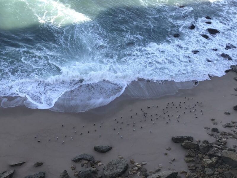 Private Jeep tour to Espichel Mysteries and Wild Beaches - The Experience Guides and Guest Feedback