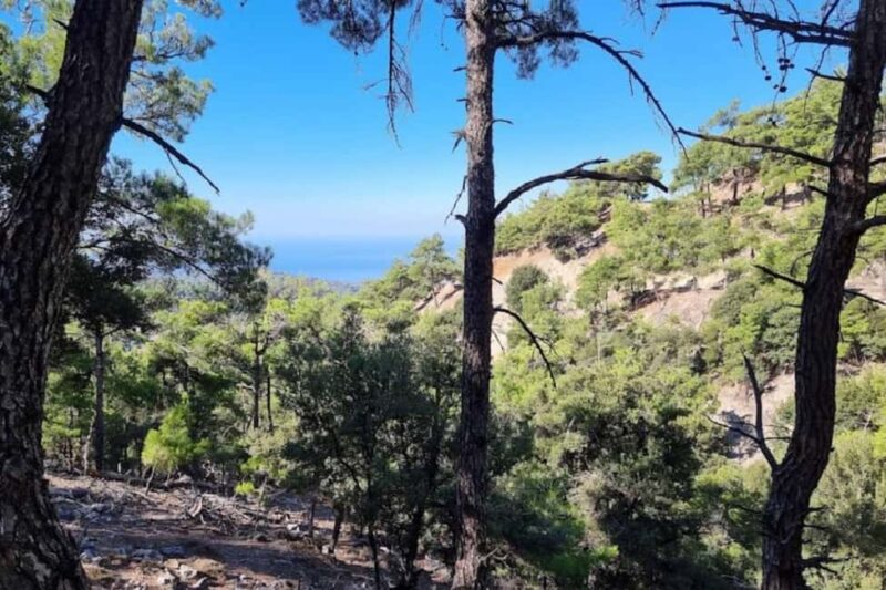 Private Jeep Tour to Viannos, Omalos Forest & Myrtos Beach - Explore Authentic Crete with a Private Jeep Tour to Viannos, Omalos Forest & Myrtos Beach