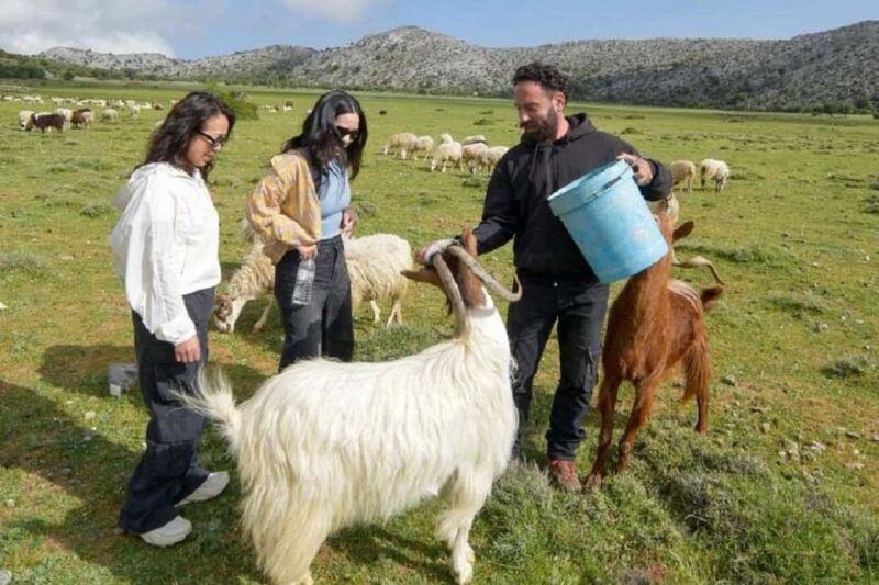 Private Jeep Tour to Viannos, Omalos Forest & Myrtos Beach - Scenic Mountain Drives and Panoramic Views