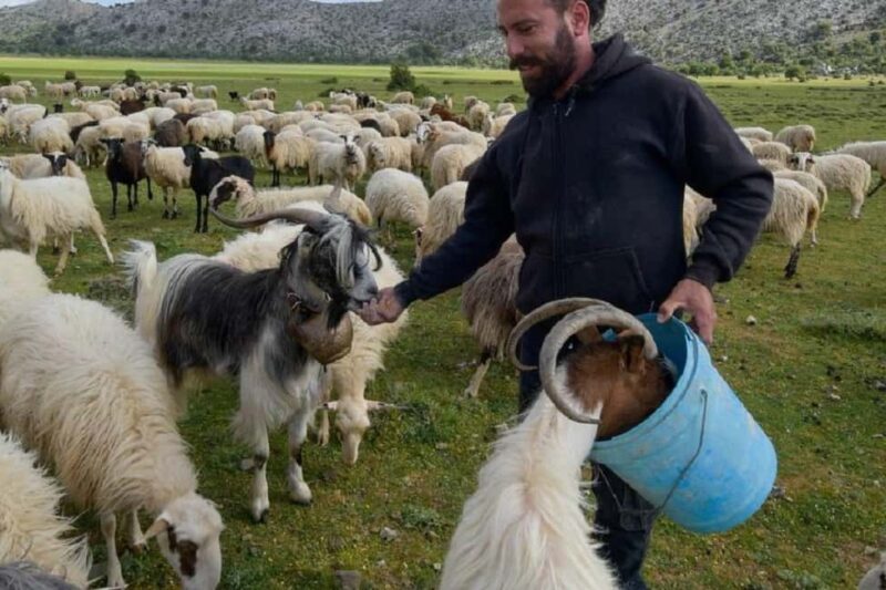 Private Jeep Tour to Viannos, Omalos Forest & Myrtos Beach - Practical Details and Logistics