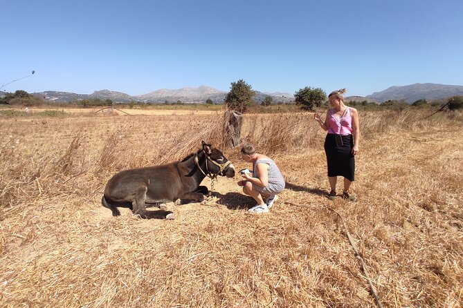 Private Jeep Tour - Zeus Cave - Cretan villages - Exploring the Lassithi Plateau and the Cave of Zeus