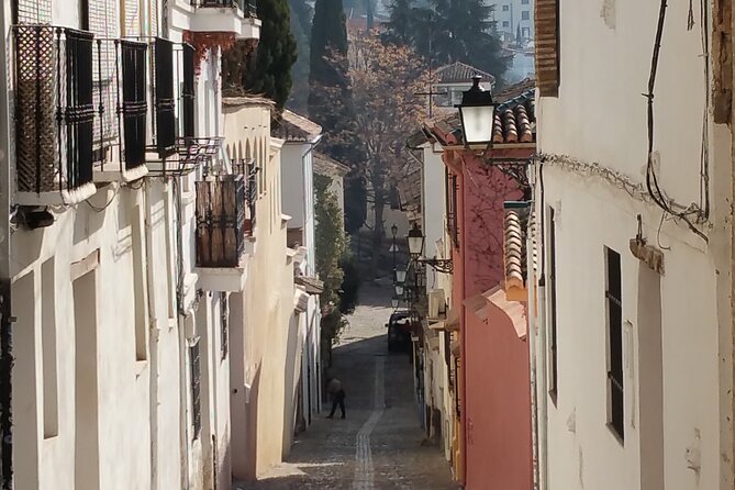 Private Jewish History Tour - Meeting Point and Tour Logistics in Granada