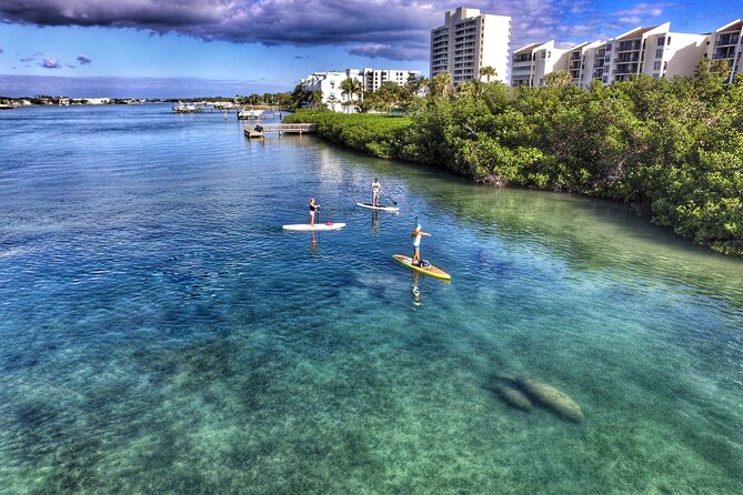Private Jupiter Island Guided Paddle Boarding Tour - Key Points