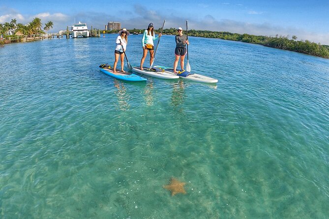 Private Jupiter Island Guided Paddle Boarding Tour - Practical Aspects: Equipment, Photos, and Flexibility