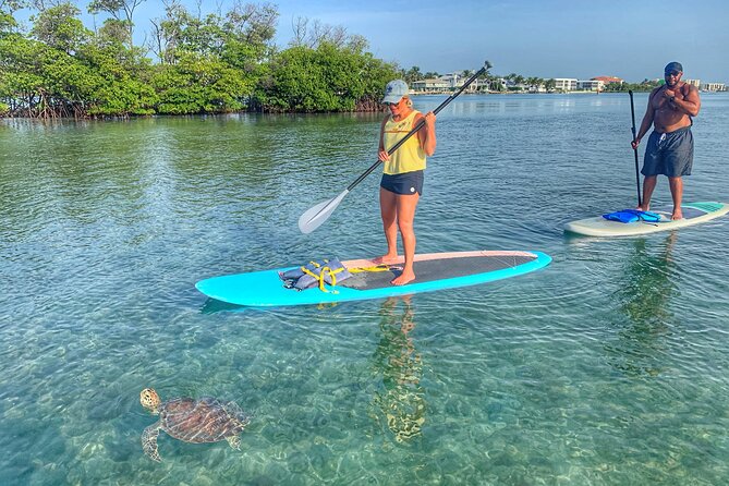 Private Jupiter Island Guided Paddle Boarding Tour - Considerations: Weather, Crowds, and Water Safety