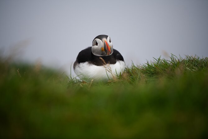Private Kallur Lighthouse Hike - Why Choose the Private Kallur Lighthouse Hike?