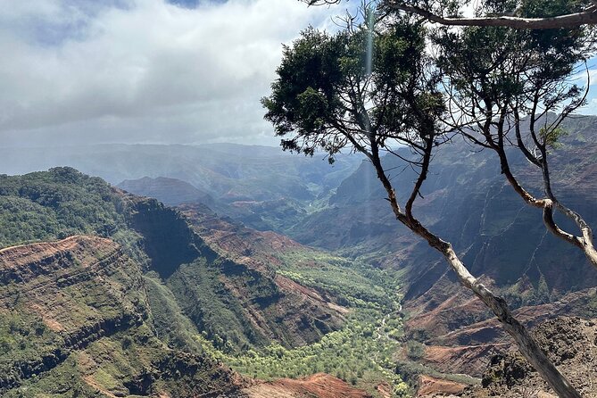 Private Kauai Island Tour - Featuring Waimea & Kokee State Parks - Kokee State Park and Kalalau Valley Overlook