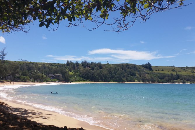 Private Kauai North Shore Tour - Convenience and Comfort of the Tour