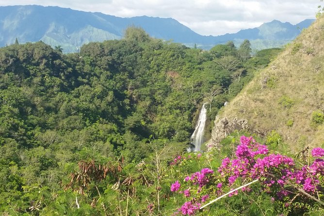 Private Kauai North Shore Tour - Flexibility and Booking Details