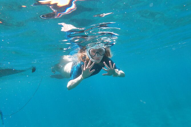 Private Kayak Tour in Câmara de Lobos - Personalized Experience with a Friendly Guide