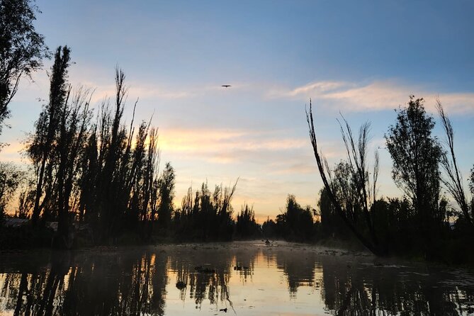 Private Kayak tour through the canals of Xochimilco - The Value Proposition of the Xochimilco Kayak Experience