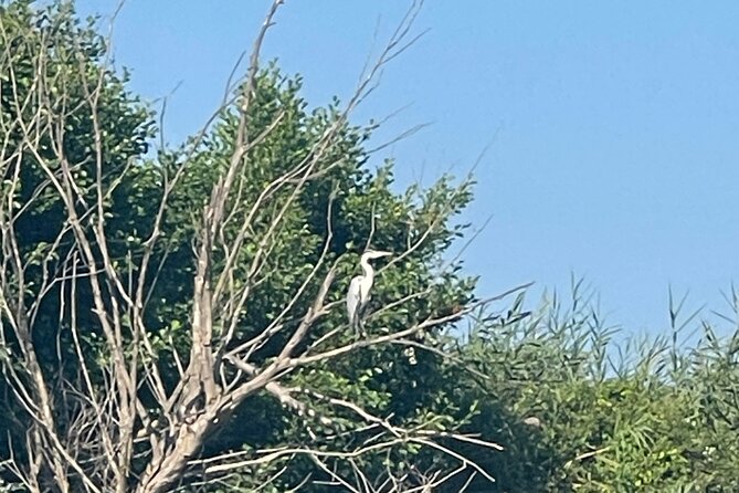 Private Kayaking Experience in Parga area - Returning Along the River and Coastal Waters