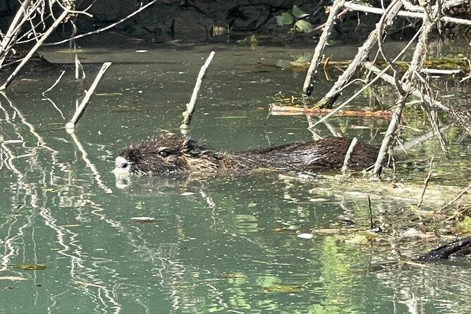 Private Kayaking Experience in Parga area - The Experience of a Knowledgeable Guide: Vasilis