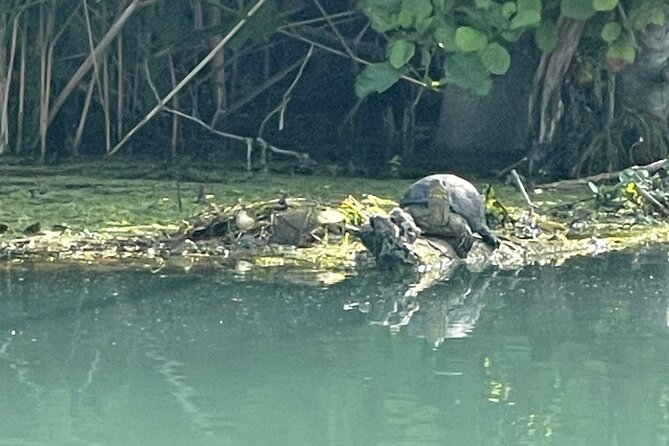 Private Kayaking Experience in Parga area - Booking, Timing, and Weather Considerations