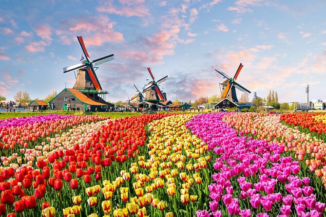 Private Keukenhof Tulip Fields Tour From Amsterdam(Skip-The-Line) - Starting in Style with Private Transfers