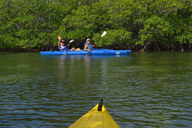 Private Key West Sandbar and Paddle by Boat - Dog-Friendly Policy and Family-Friendly Experience