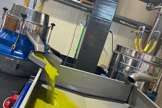 PRIVATE-Knossos Palace-Lasithi-Winery-Old Villages-Olive Oil Mill - Exploring the Old Village of Mochos