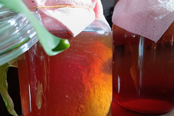 Private Kombucha Making Workshop in Cyprus - Booking, Cancellation, and Flexibility