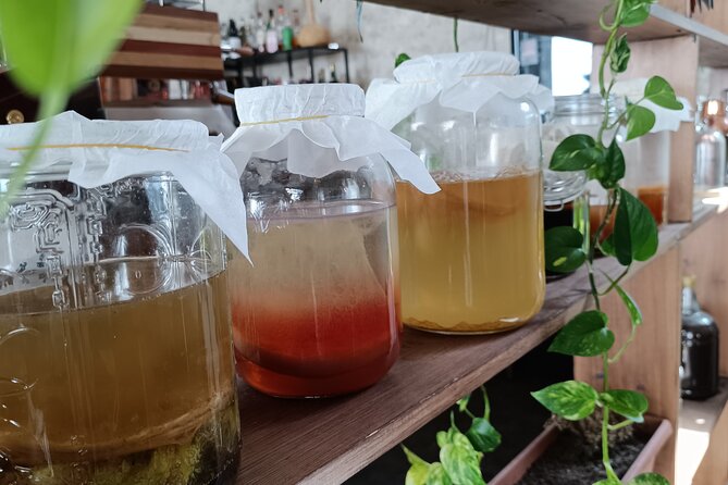 Private Kombucha Making Workshop in Cyprus - Concluding Thoughts on the Kombucha Making Experience