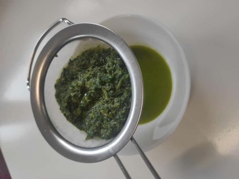 Private Kombucha Making Workshop in Cyprus - What You Learn During the 1.5-Hour Kombucha Making Session