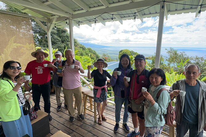 Private Kona Cruise Ship Excursion Kona up to 14 People - Tour Logistics and Group Size Advantages