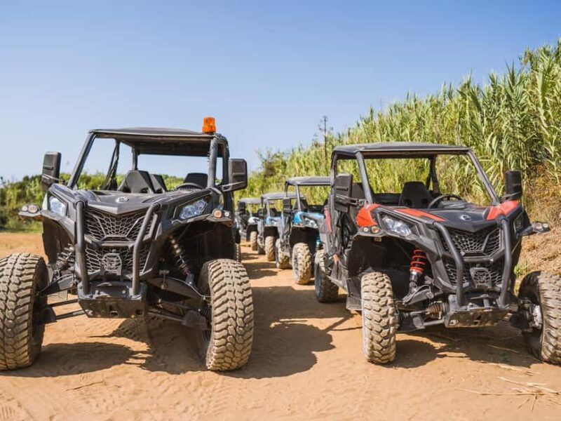 Private Korcula Buggy Safari With Wine Tasting - Final Thoughts on the Korcula Buggy Safari with Wine Tasting