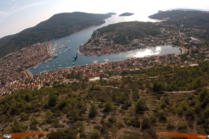 Private Korcula Eco Tour with Guide - Explore Korcula’s Green Heritage and Rural Charm