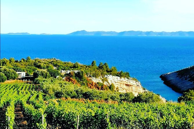 Private Korcula wine tour and tasting - The Posip Wine Monument and Its Significance