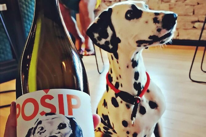 Private Korcula wine tour and tasting - The Winemaker’s Story and Local Produce