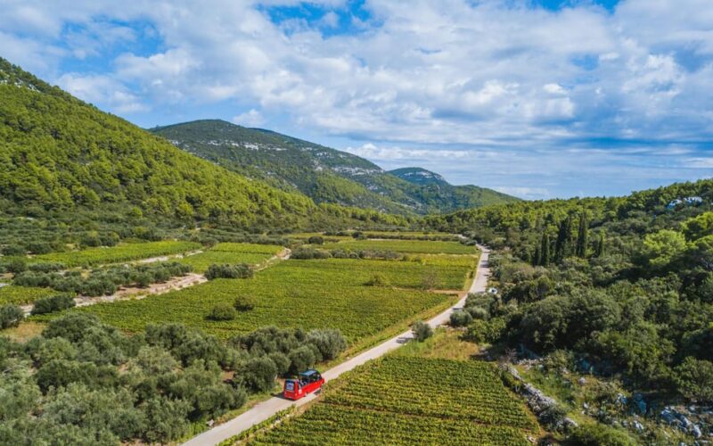 Private Korula Island: Wine & Sightseeing Tour - Tasting a Wide Range of Local Beverages and Delicacies