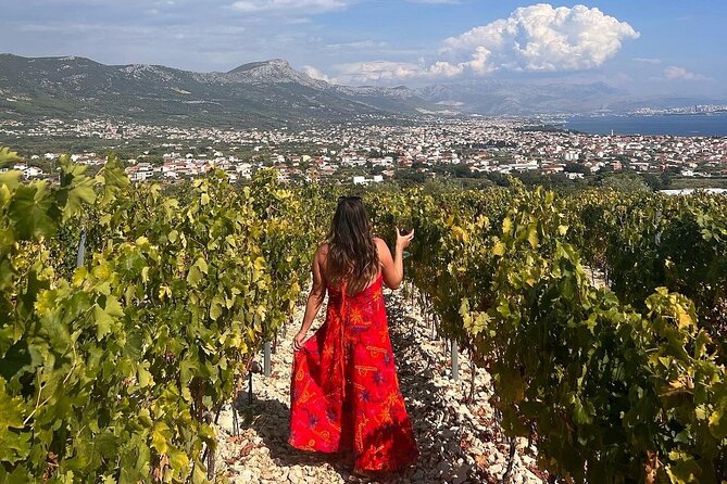 Private Krka Waterfalls Tour from Split  Fast Track Entry - Enjoying the Scenic Drive and Private Transport