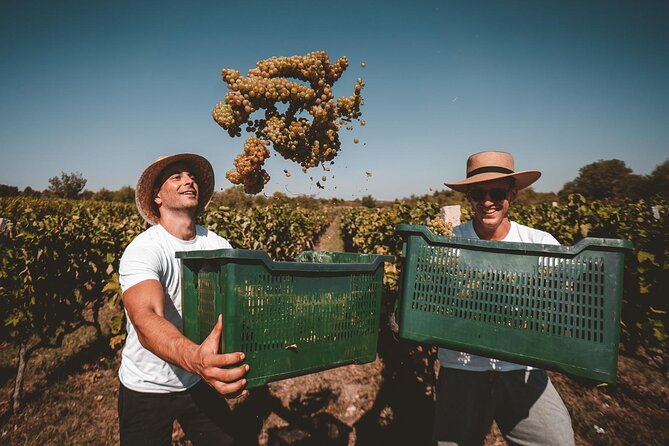 Private Krka Waterfalls Tour with Wine Tasting - Recommendations for Lunch and Personalization