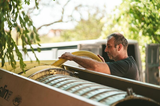 Private Krka Waterfalls Tour with Wine Tasting - The Guide’s Role and Storytelling Approach