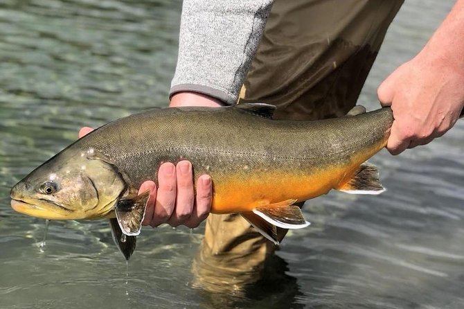 Private Lake and River Fishing Tour from Reykjavik - Key Points