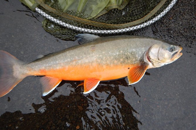 Private Lake and River Fishing Tour from Reykjavik - Food, Snacks, and Photographs: Remembering the Day