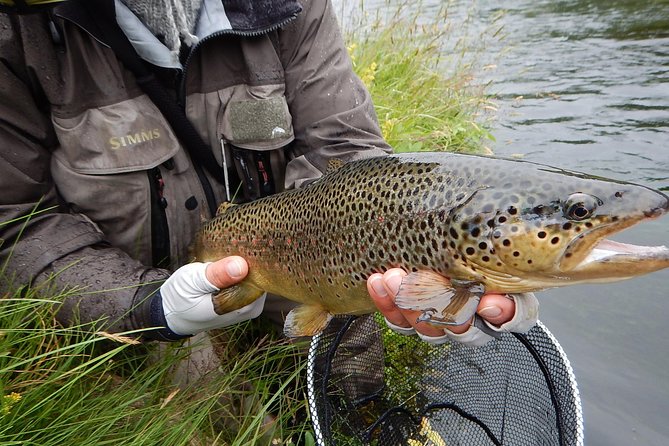 Private Lake and River Fishing Tour from Reykjavik - What Sets This Tour Apart from Other Fishing Trips