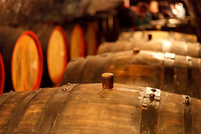 Private Lake Balaton Experience with an unforgettable Wine Tasting - Key Points