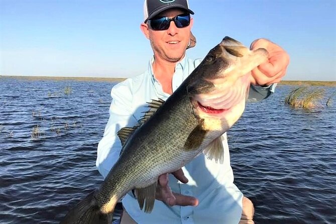 Private Lake Istokpoga Bass Fishing Charter in Sebring - Discover the Private Lake Istokpoga Bass Fishing Charter in Sebring