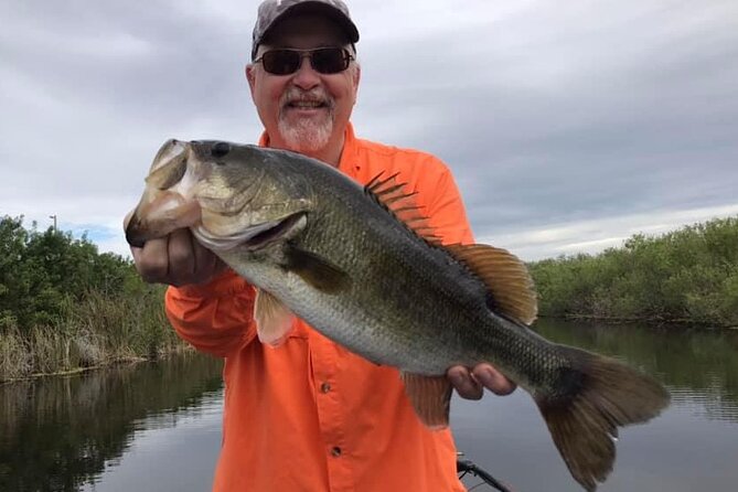 Private Lake Istokpoga Bass Fishing Charter in Sebring - Wildlife and Natural Beauty on Lake Istokpoga