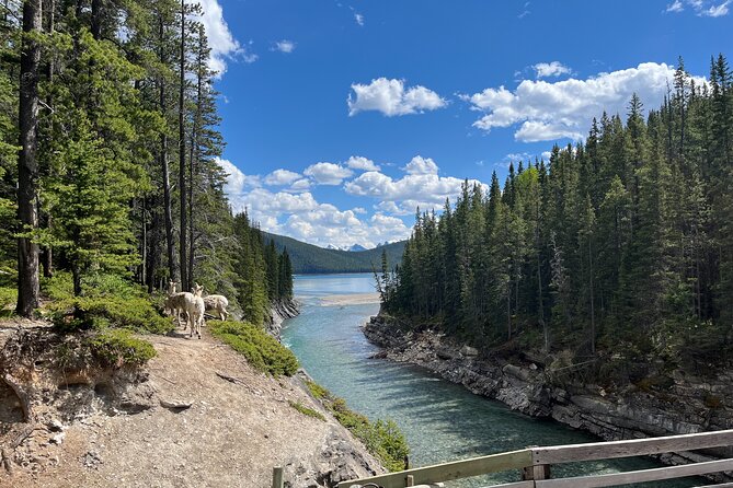 Private Lake Louise, Moraine, Minnewanka Tour from Banff Canmore - Moraine Lake’s Stunning Rockpile and Lakeshore Walk