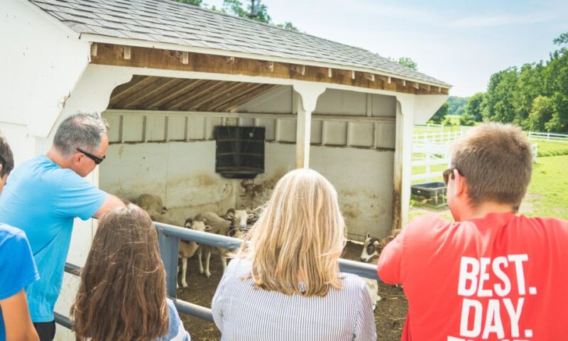 Private Lancaster County Amish Tour from Philadelphia - Visiting a Traditional Amish Bakery