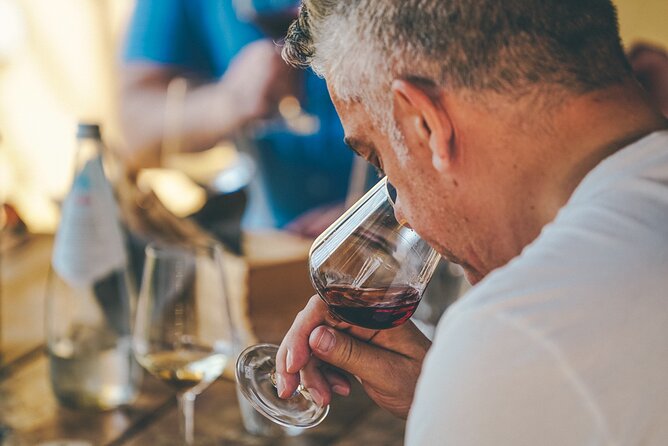 Private Langhe and Barolo Wine Tour from Milan - Scenic Drive through Langhe’s UNESCO Heritage Hills