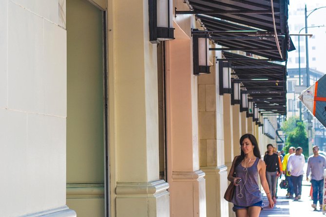 Private Layover Los Angeles Tour with Pickup from LAX - Santa Monica, Venice - Logistics and Flexibility of the Tour