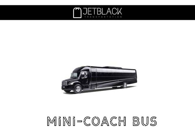 Private LGA Airport transfer / New York City (One Way) - Managing Expectations: Punctuality and Delays